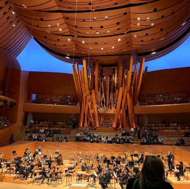 Walt Disney Concert Hall. 