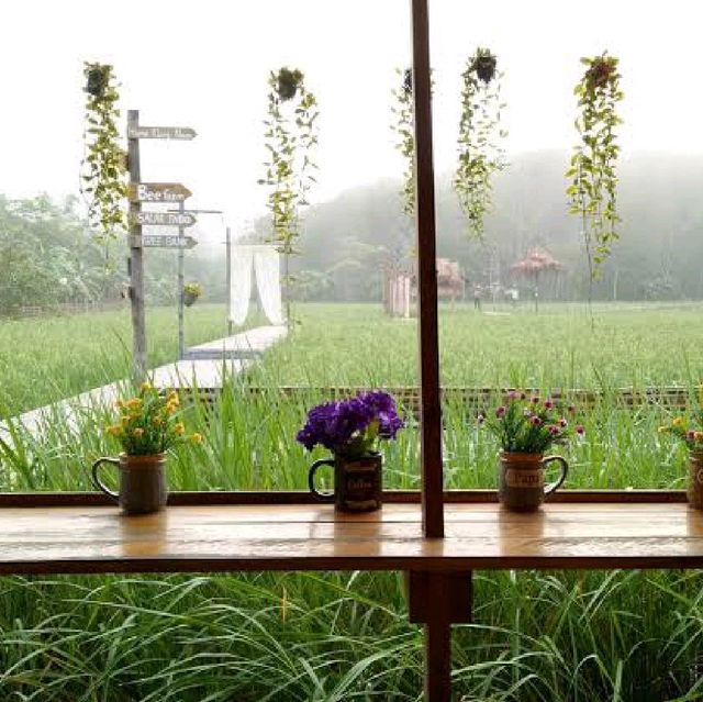 ไร่เกษมสุข Organic Farm