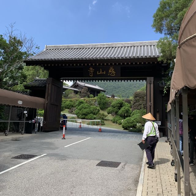 石屎森林外的靜土 - 慈山寺