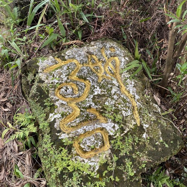 漫步四獸山 環繞大台北