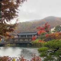 가을의 단풍명소 ‘화담숲’