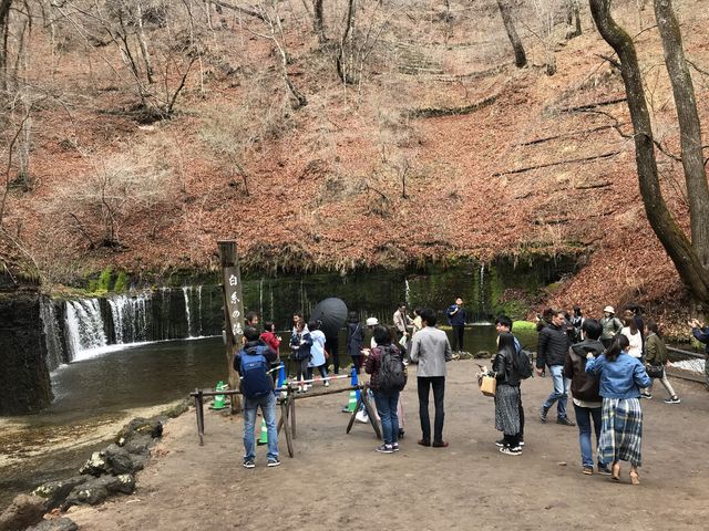 【長野】軽井沢の美しい滝「白糸の滝」