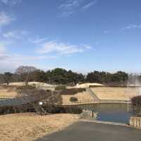 國營日立海濱公園💕🌹日本🗾賞花必去