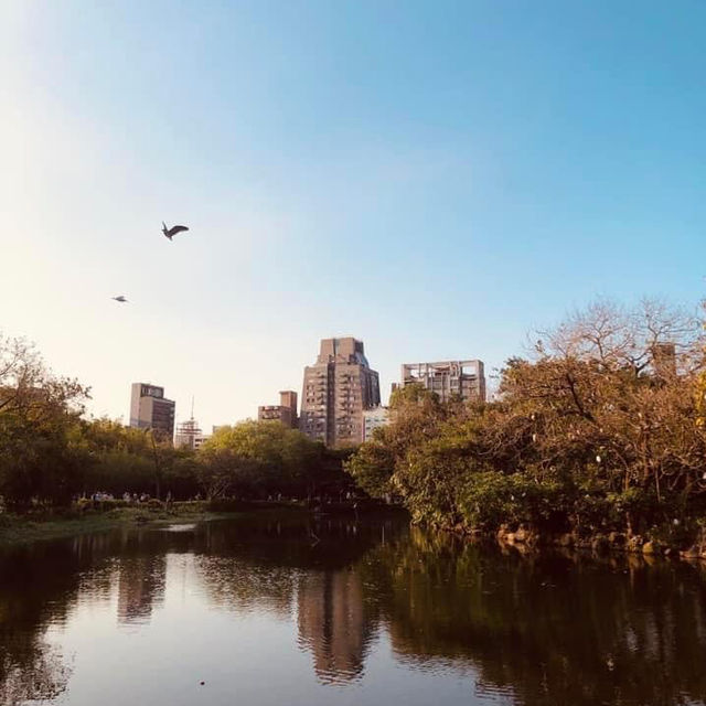 大安森林公園 🌸🌺🌼🌻💐🌷🌹 台北杜鵑花季