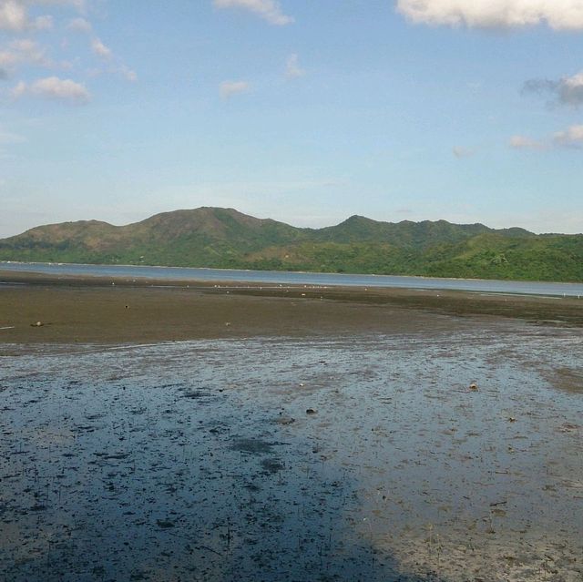 鹿頸景色