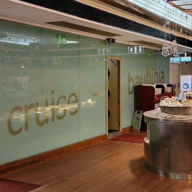 洋紫荊維港遊⛴️自助餐+開篷巴士遊