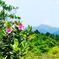 老虎騎石、斜樓嶺墩、大山峒、石屋山