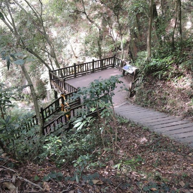 魅力森林奧萬大🌲🌲🌲