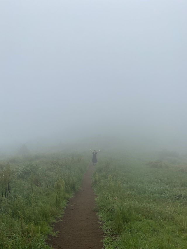 [제주도] 안개 낀 오름에서 만난 신비한 자연의 세계