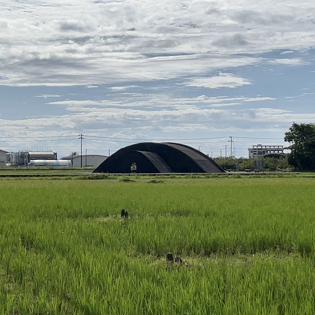 掩体壕に行ってみよう