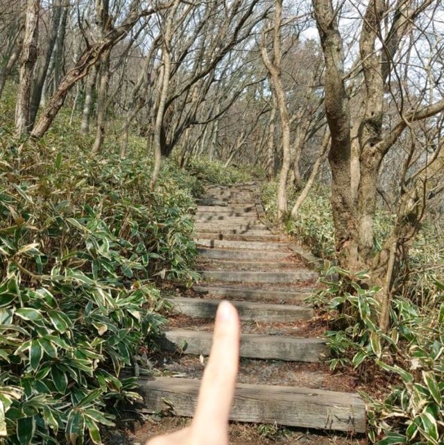 한라산을 느껴볼 수 있는 어승생악