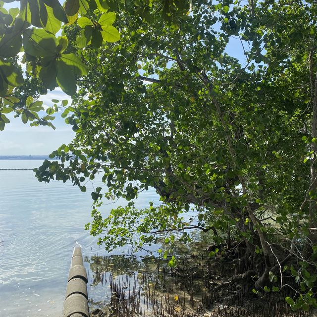 SAMAL ISLAND 