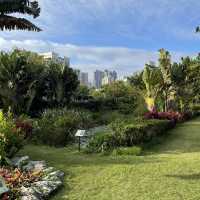 Macau Wetland of  Beach Avenue, Taipa