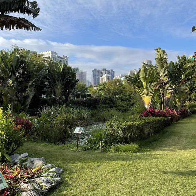 Macau Wetland of  Beach Avenue, Taipa