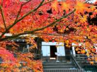 真正極楽寺 (真如堂)