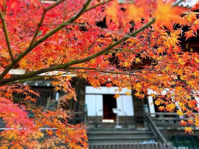 真正極楽寺 (真如堂)