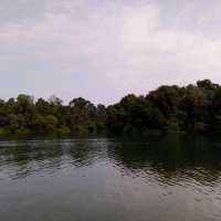 MacRitchie Reservoir