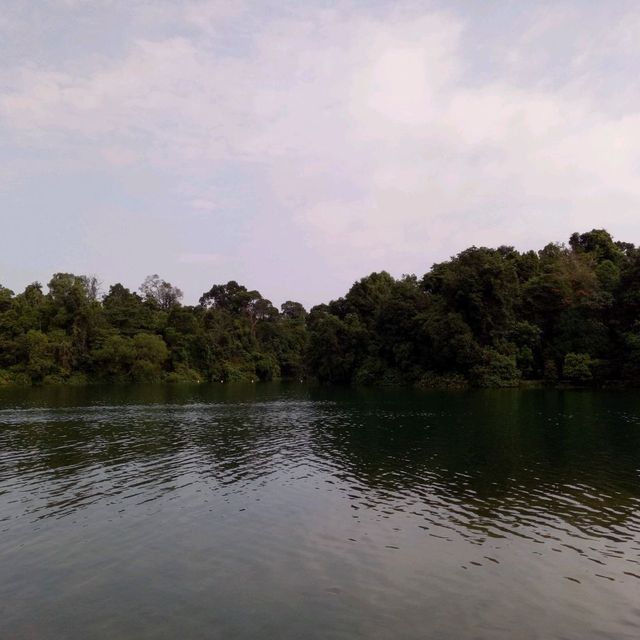 MacRitchie Reservoir