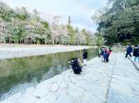 最高位の神社！伊勢神宮！