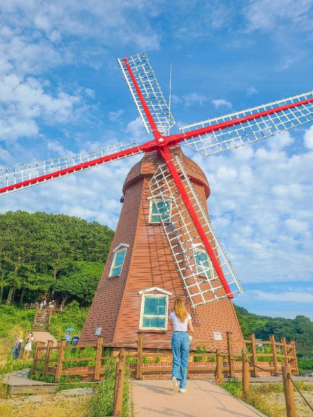 진짜 바람이 엄청 부는 바람의 언덕