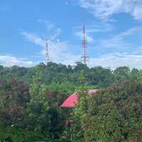 Bukit Batok Nature Park