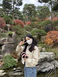 가을 단풍 맛집 :: 화담숲🍂🤍