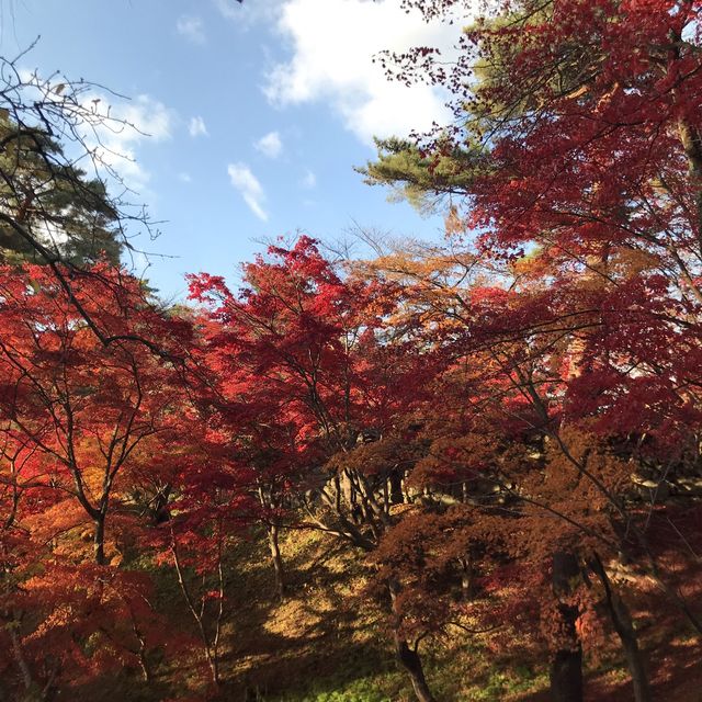 青森県　11月の弘前公園