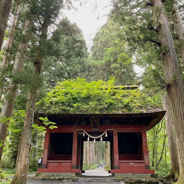 戸隠神社