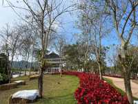 ชมดอกไม้สวยๆในสวน @ วังน้ำเขียว