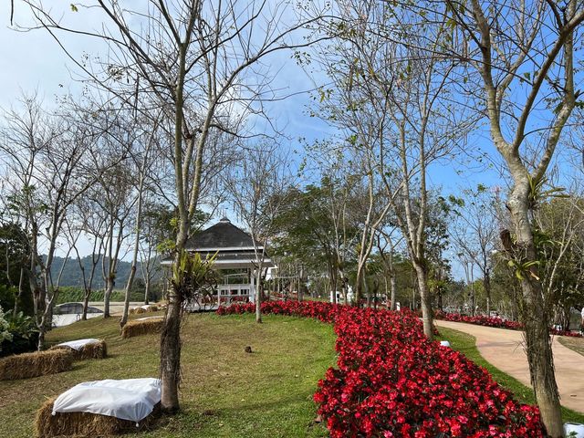 ชมดอกไม้สวยๆในสวน @ วังน้ำเขียว