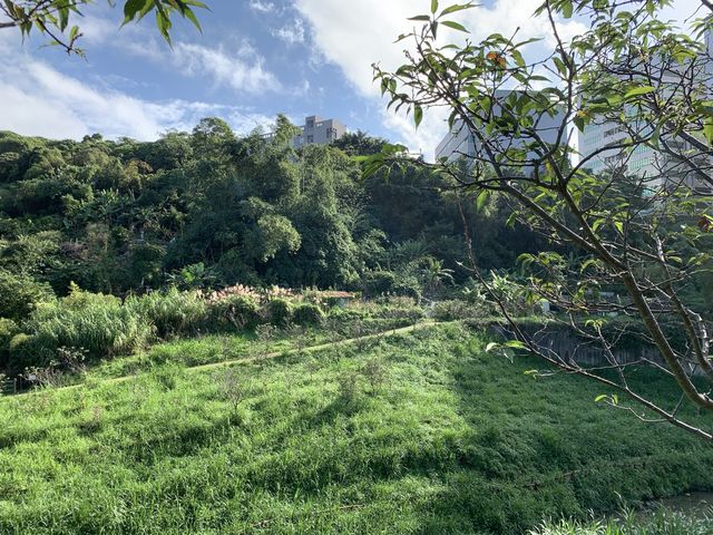 內湖晨跑去～沿著東湖樂活公園、內溝溪、白馬山莊回返