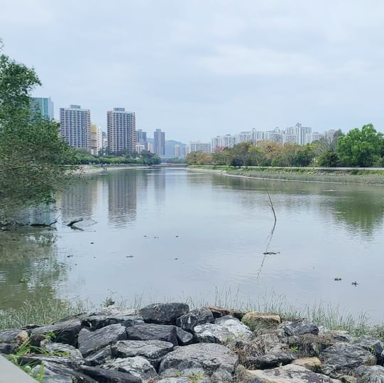 南生圍橫水渡 南生圍橫水渡