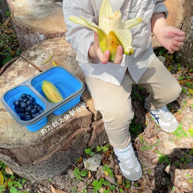 【假子親子遊】與孩子森林漫步 🌳