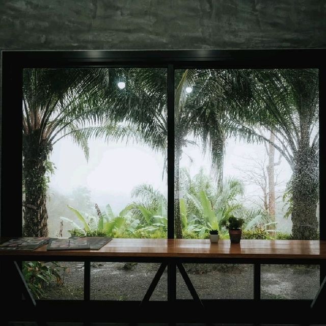ทิวเขา Coffee คาเฟ่ ที่วิวสวย และปังที่สุดอีกแห่ง 