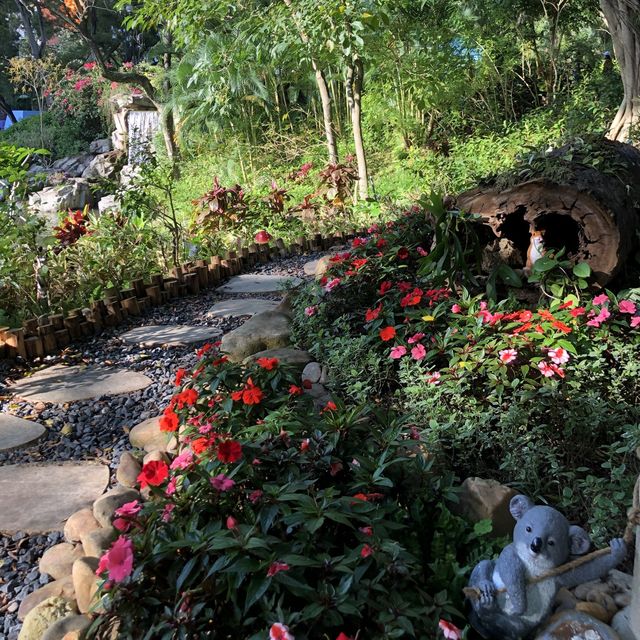🌲荃灣後花園🌹尋找復活兔🐰