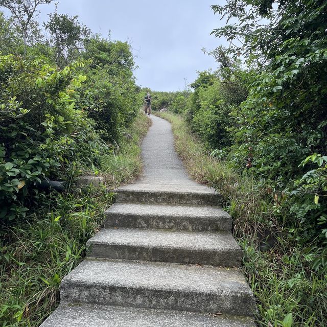 陰天最岩就係去行山