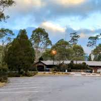 Hitchhiking in Tasmania