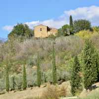 意大利Toscana🇮🇹 徒步旅行San Quirico d'Orcia-Pienza
