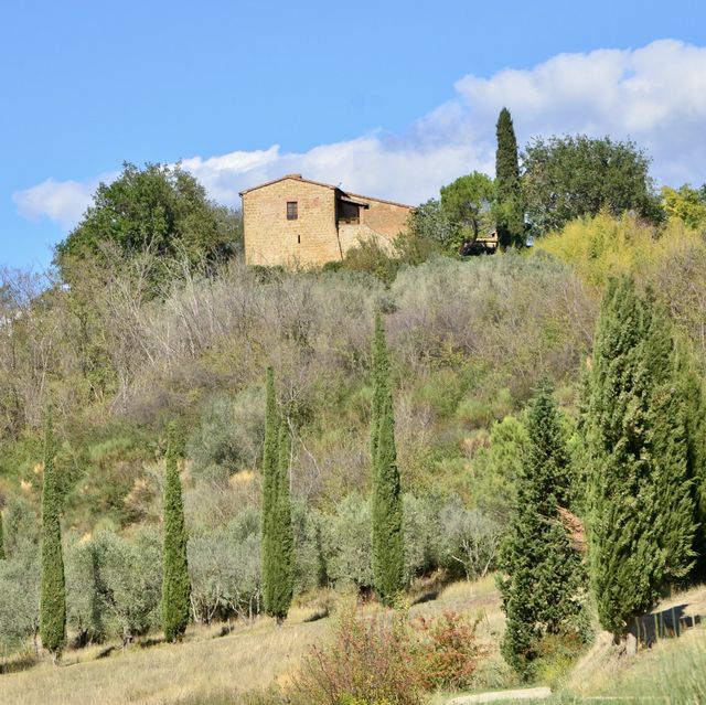 意大利Toscana🇮🇹 徒步旅行San Quirico d'Orcia-Pienza