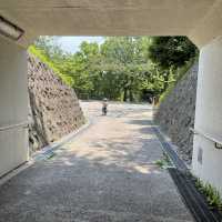 保土ヶ谷公園で自転車デビュー