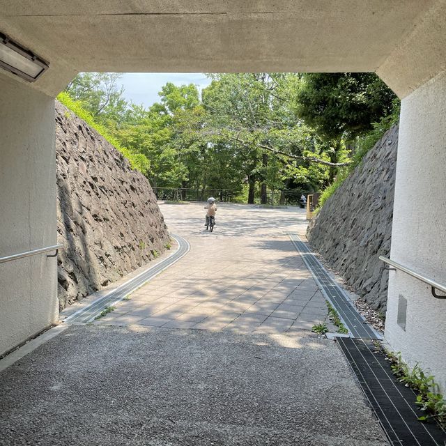 保土ヶ谷公園で自転車デビュー