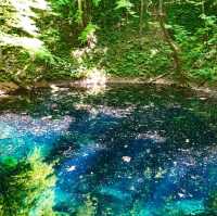 【青森県】世界遺産・白神山地の神秘の池で森林浴！