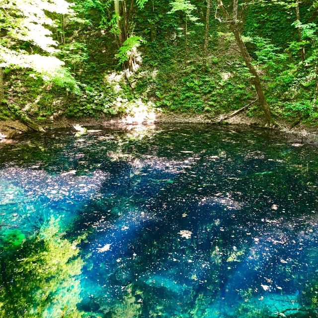 【青森県】世界遺産・白神山地の神秘の池で森林浴！