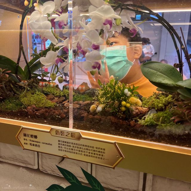 將軍澳中心