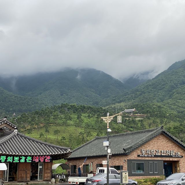 동의보감촌