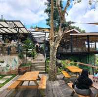 Charlie's Cup - A Roadside Nature Cafe