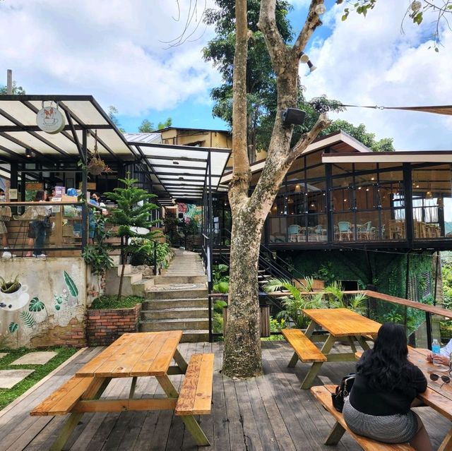 Charlie's Cup - A Roadside Nature Cafe