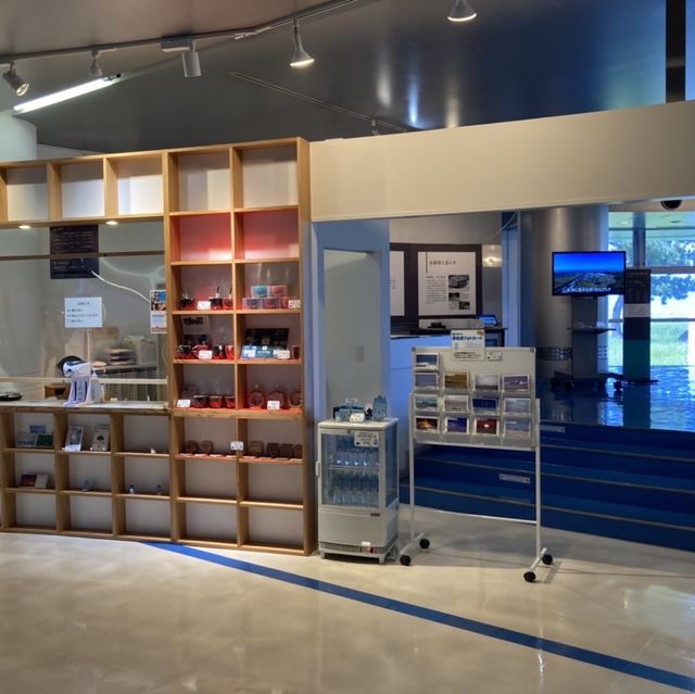 子供も遊べる埋没林博物館