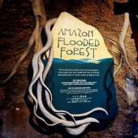 The Amazon Flooded Forest