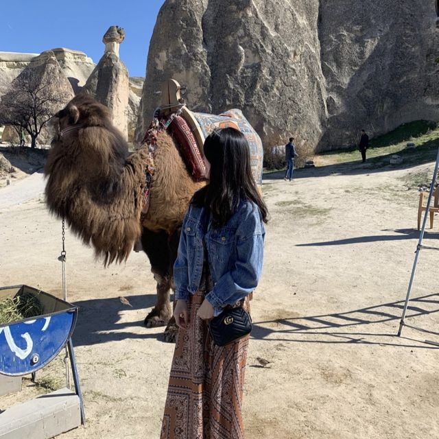 土耳其超有名的駱駝岩🐫😍😍